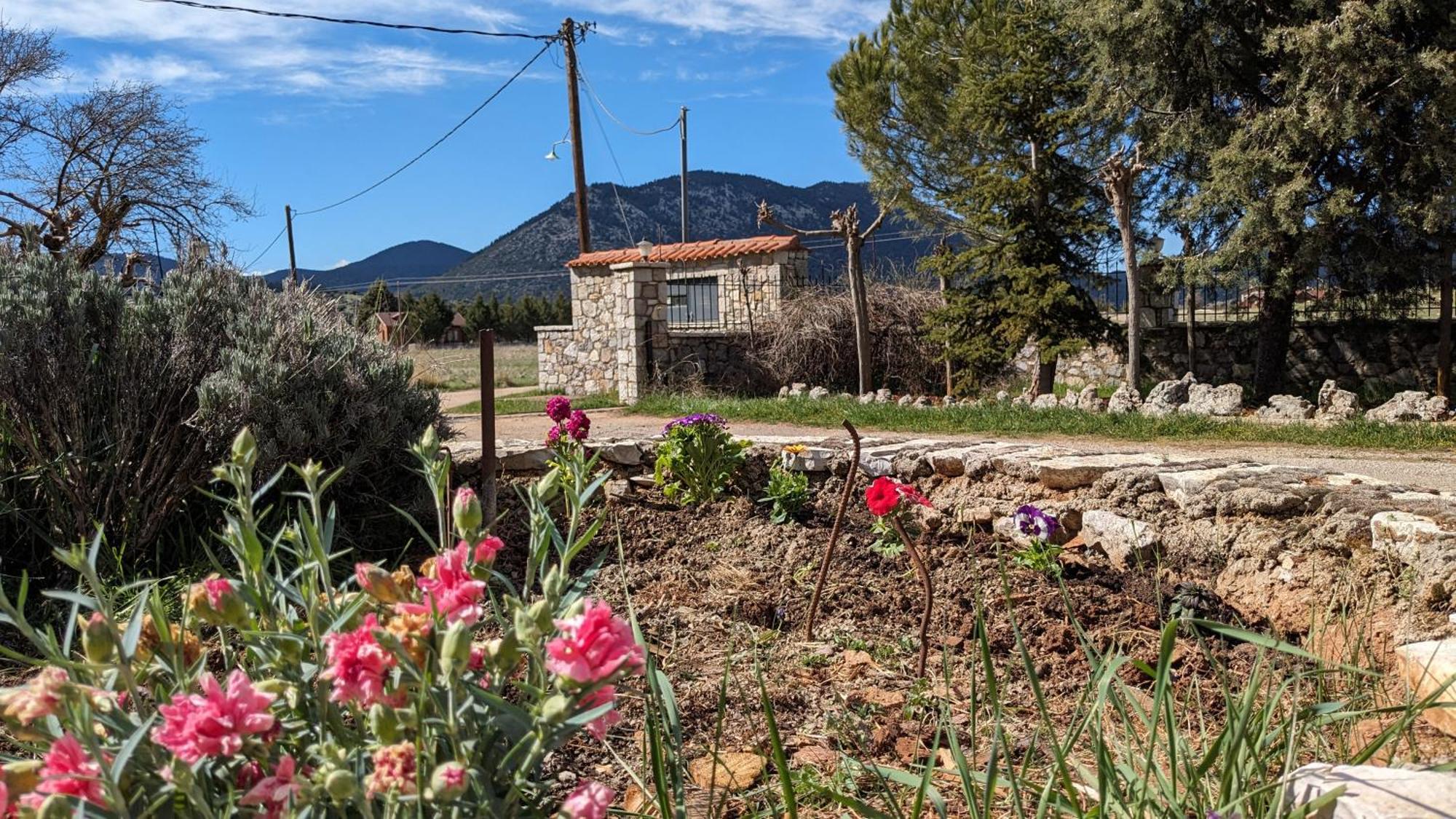 Diminio 3 Whole House - *