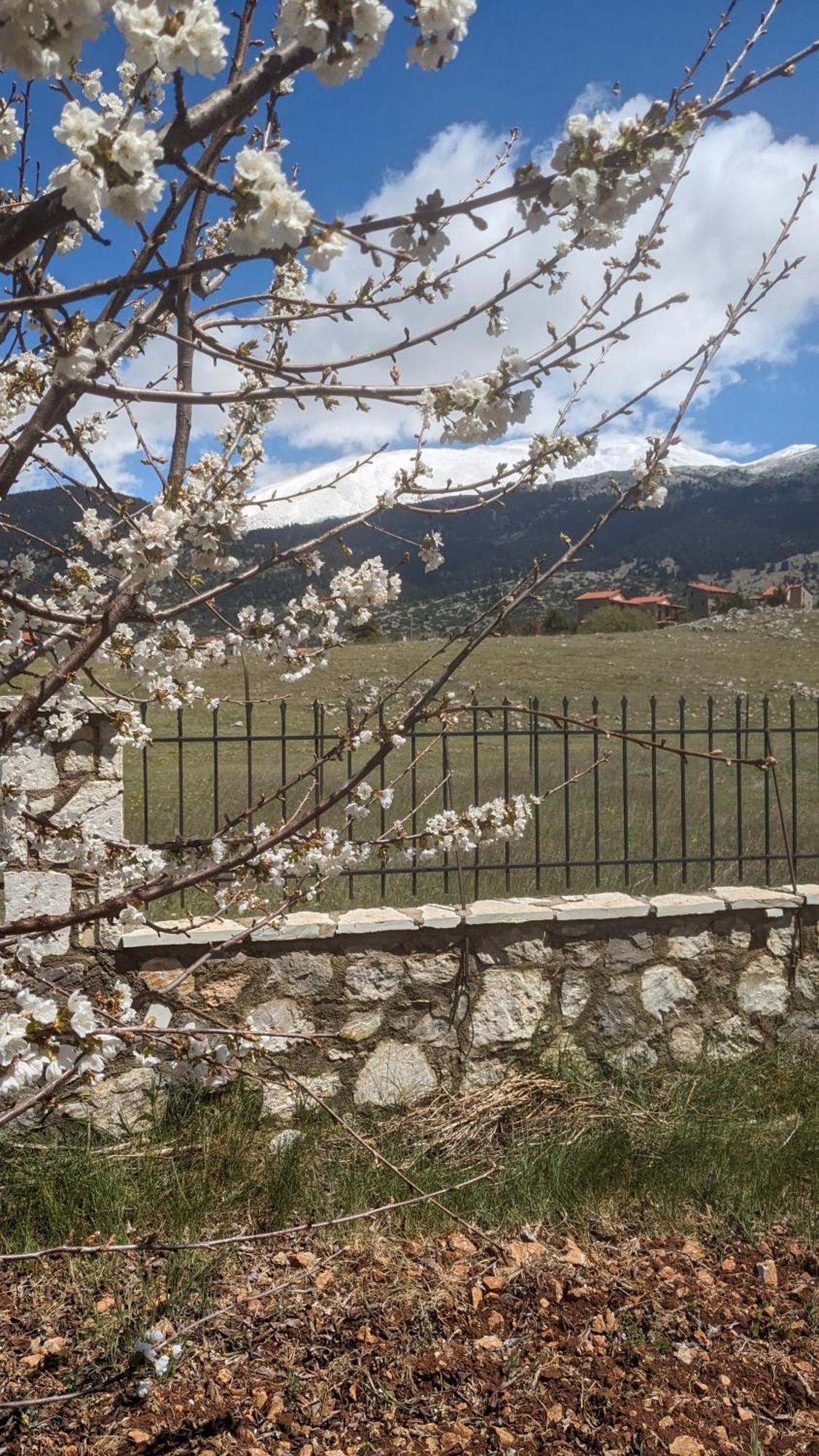 Diminio 3 Whole House - Chalet Arachova